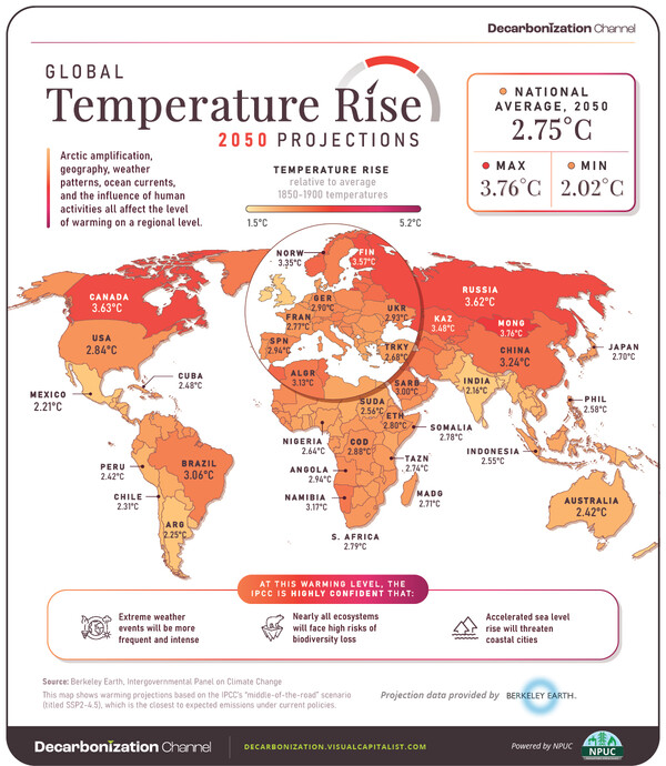 출처 비주얼 캐피털리스트