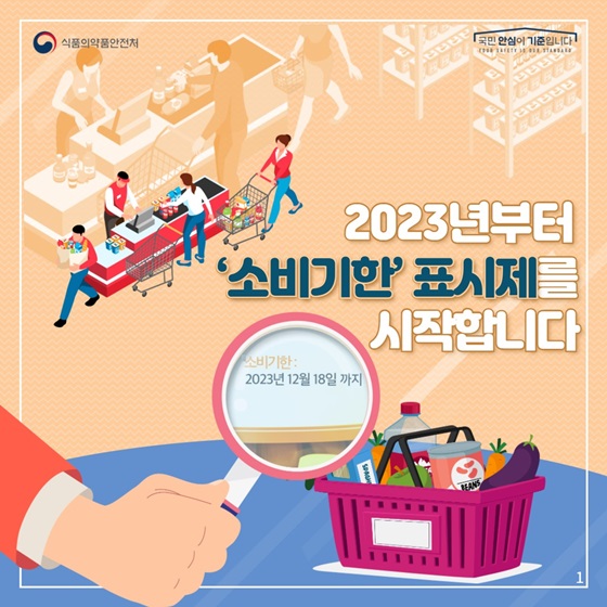 온라인카지노 합법 벳무브