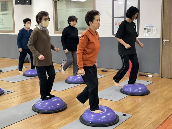 엔라이즈가 기부한 하프짐볼을 사용하여 운동 중인 어르신들 / 서초구립 방배노인종합복지관 제공