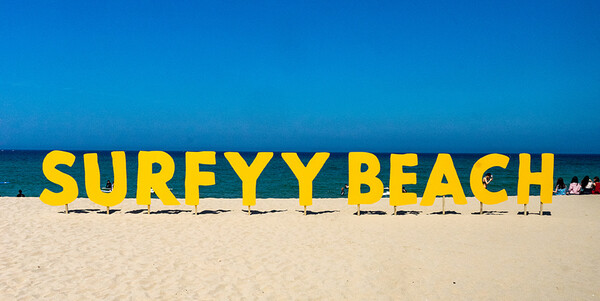 출처 서퍼비치 홈페이지