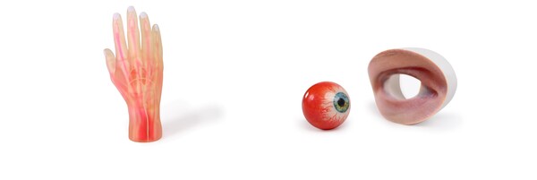 스트라타시스_J5 DAP로 제작된 모델 (손과 눈)