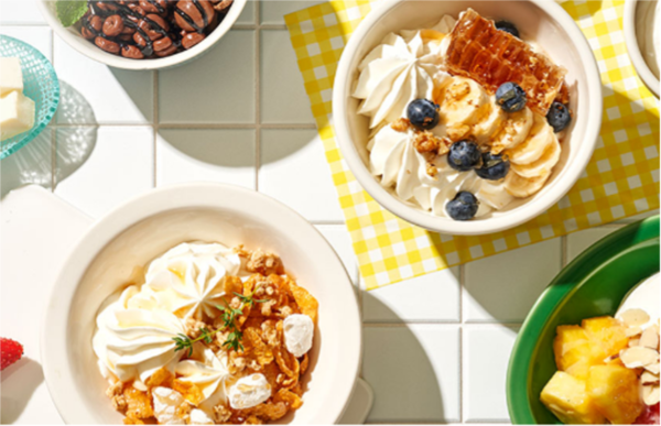 출처 요거트 아이스크림의 정석’ 홈페이지