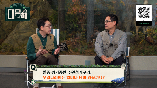 메이저카지노사이트
