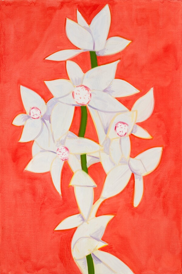 알렉스 카츠(Alex Katz), Cymbidium Yellow on Red