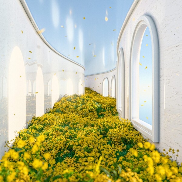 사진 FNC엔터테인먼트