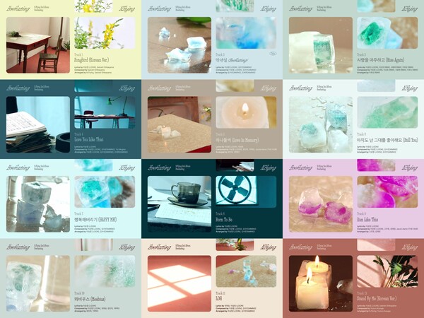 사진 FNC엔터테인먼트