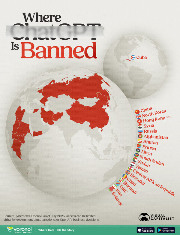 출처 비주얼캐피털리스트