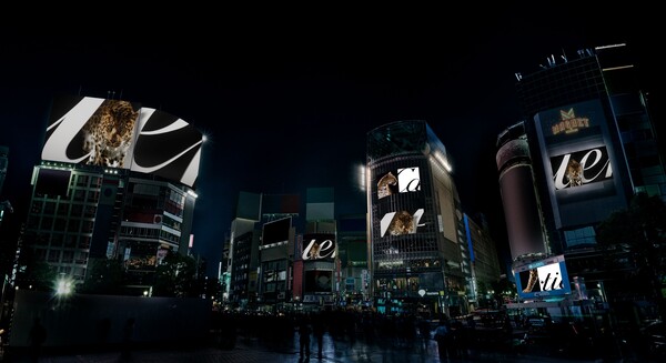 도쿄 시부야 교차로 © Cartier