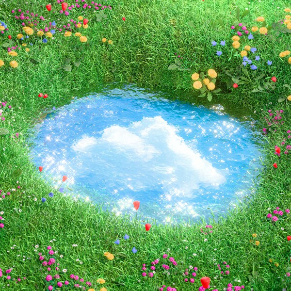 사진 FNC엔터테인먼트